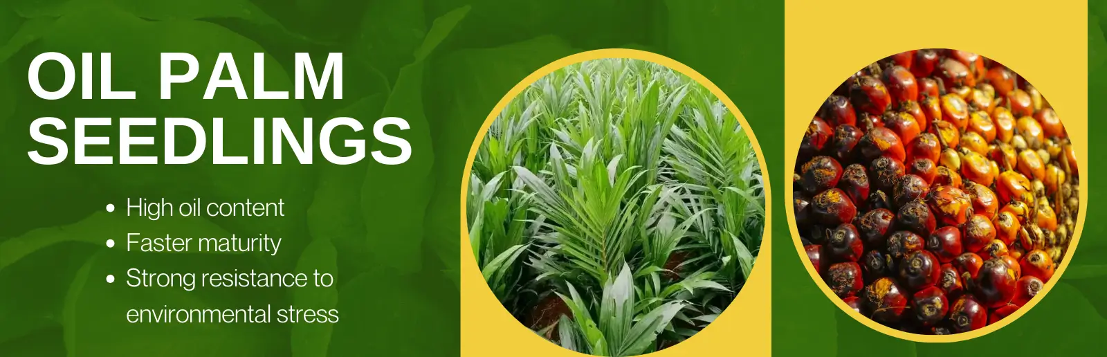 Green and Yellow Modern Agrifarm Company Presentation
