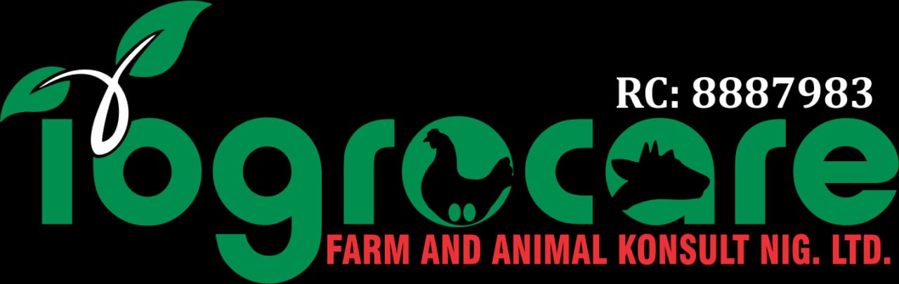 Ibgrocare